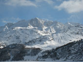 Alpi