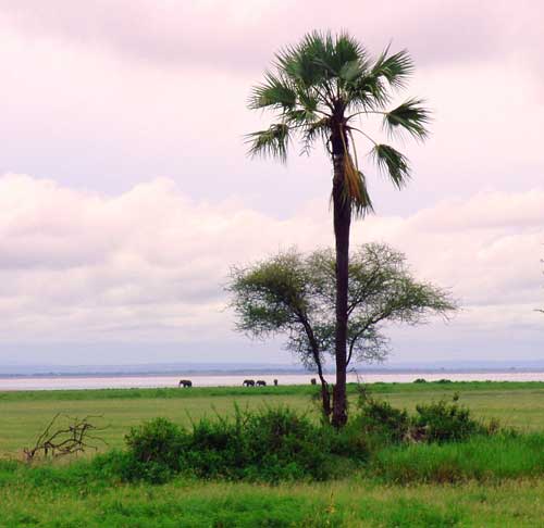 Lake Manyara